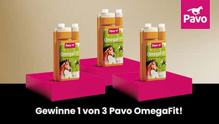 Öle in der Pferdefütterung richtig verwenden