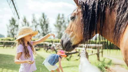 Emmas erste Reitferien in Mecklenburg-Vorpommern
