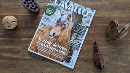 Die Themen im Januar!