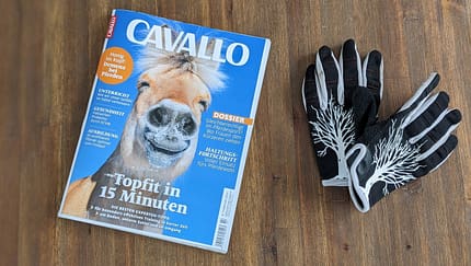 Die Themen im Februar! 