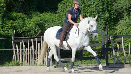 CAVALLO Gefühlvoll besser reiten