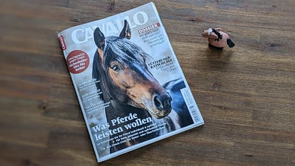 Die Themen im März!  