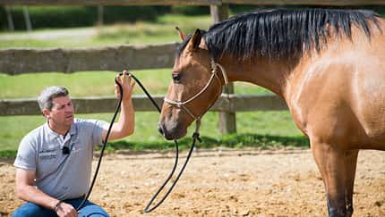 Bernd Hackl mit Pferd