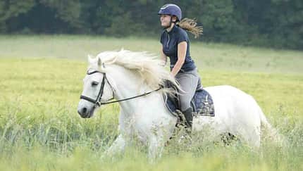 Frau galoppiert mit einem weißen Pferd über eine Wiese