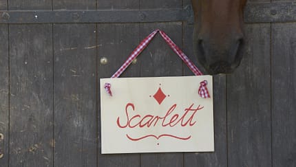 Boxenschild mit Name "Scarlett" 