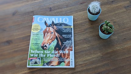 Die Themen der Juni-Ausgabe