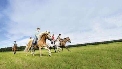 Gruppe von Reiterinnen beim Galopp über eine Wiese