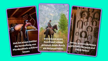 Karten mit Vorschlägen aus der DoGet App
