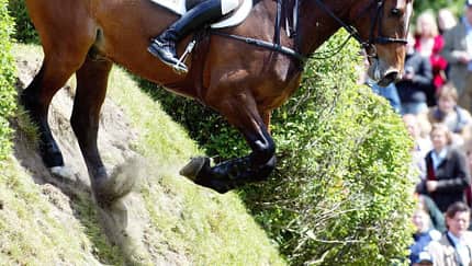 Pferd am Wall 