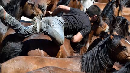 Überholte Reittraditionen