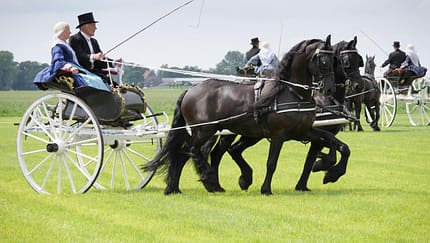 Gastland Niederlande mit der Fryske Quadrille 