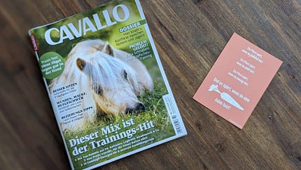 Die Themen im Oktober