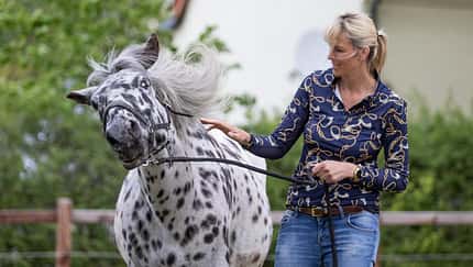 Katja Schnabel mit kopfscheuem Pferd