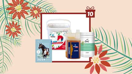 Tag 10 - heutiger Gewinn: 3 Produkte von Höveler  