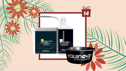 Tag 14 - heutiger Gewinn: Supplemente von Equinova