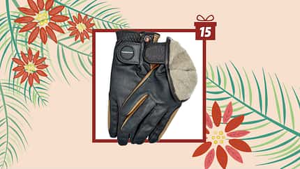 Tag 15 - heutiger Gewinn: Handschuhe „Winters Finest“  