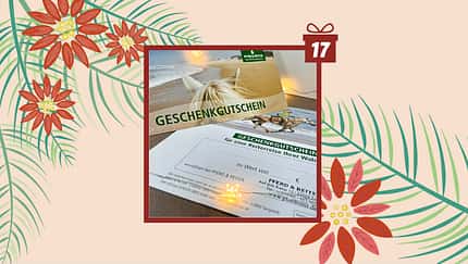 Tag 17 - heutiger Gewinn: Gutschein Pferd & Reiter 