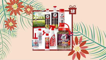 Tag 18 - heutiger Gewinn: Winterset von leovet  