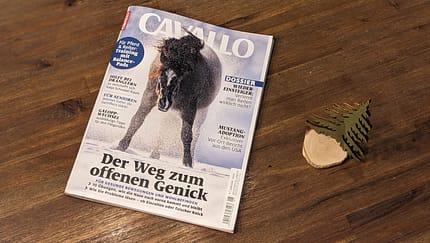 Die Themen im Januar