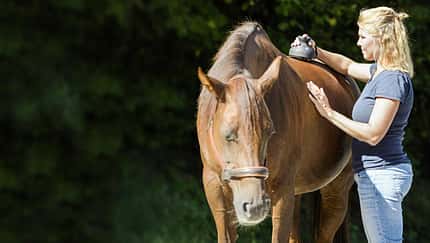 CAVALLO Test Massagegeräte 