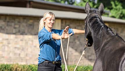 CAVALLO HIlfe bei Dränglern