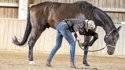CAVALLO Serie mit Katja Schnabel - Hufe geben