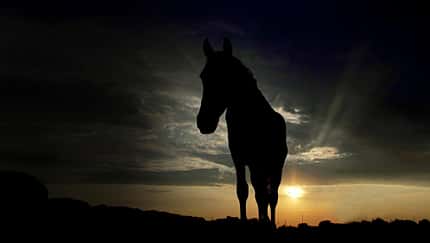 CAVALLO Stirnlampen im Test