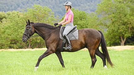 CAVALLO Schritt-Training