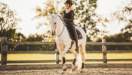 CAVALLO Halsringreiten