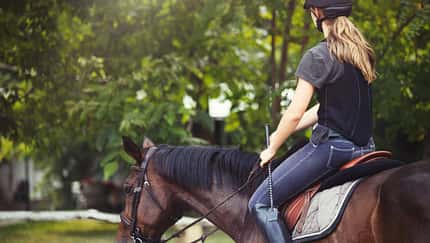 Junges Mädchen mit Rückenprotektor reitet braunes Pferd