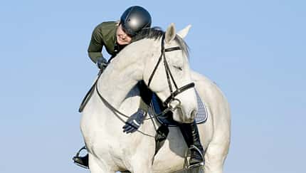 CAVALLO Unsere Pferde sprechen mit uns, wenn sie merken, dass wir sie hören.