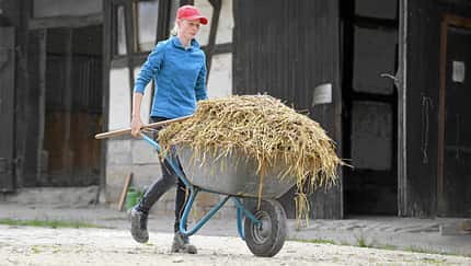 CAVALLO Schubkarren im Test