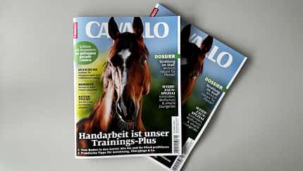 Die CAVALLO-Themen im April
