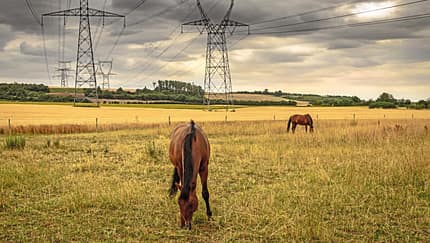 CAVALLO Strahlung, das unsichtbare Risiko?