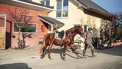 CAVALLO Das wiehernde Dorf Lonnig
