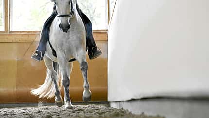 CAVALLO Kreatives Ecken-Training