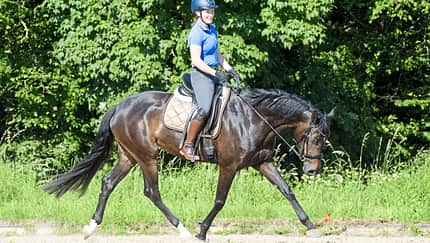 CAVALLO Drei Fragen, drei Experten - Dehnen