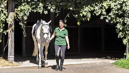 CAVALLO Der Traum vom eigenen Stall