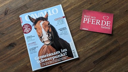Die CAVALLO-Themen im Juli