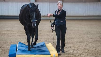 CAVALLO EquiGym