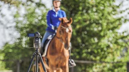 CAVALLO Eine Frage - drei Experten:  Online Unterricht