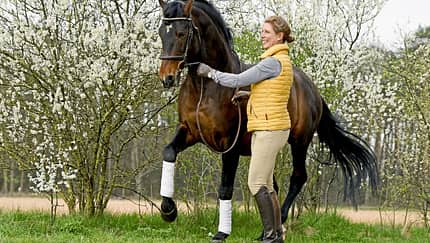 CAVALLO Jedes Pferd kann das Piaffieren lernen