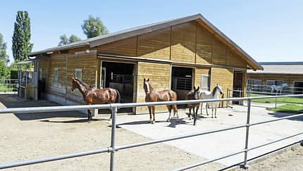 CAVALLO Ergebnisse der Stallbewertungen von BestTUPferd