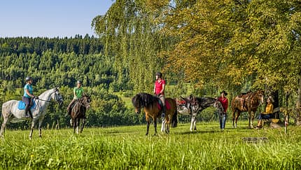 Ferienglück für Pferdefreunde
