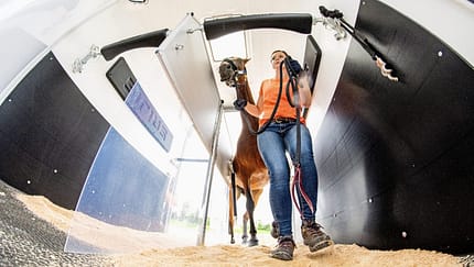 CAVALLO Eine Frage - drei Experten: Wie viel Stress Pferde vertragen und welche Warnzeichen es gibt, Verladetraining