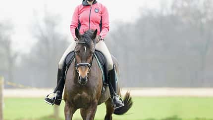CAVALLO Wie Sie Ihre Mitte im Sattel finden und in allen Lagen im Lot bleiben