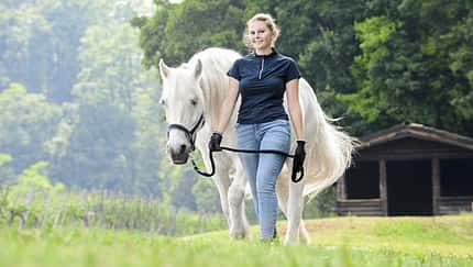 CAVALLO Versicherungs-Service für Pferdehalter, Frau führt Pferd über Wiese