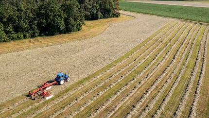 Ein Traktor schwadet auf dem Feld das Heu, um es danach zu pressen.