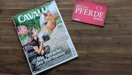 Die CAVALLO-Themen im September