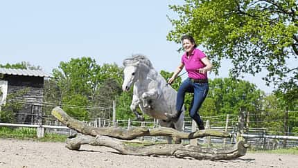 CAVALLO Ponypower, Pony springt mit Frau über Baumstamm